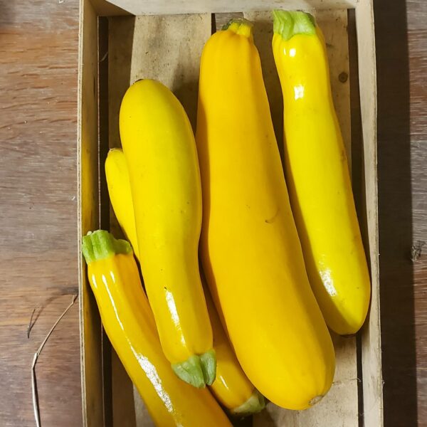 Courgettes – Image 2